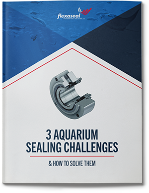 3 Aquarium Sealing Challenges & How to Solve Them