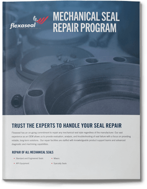 Mechanical Seal Repair Program