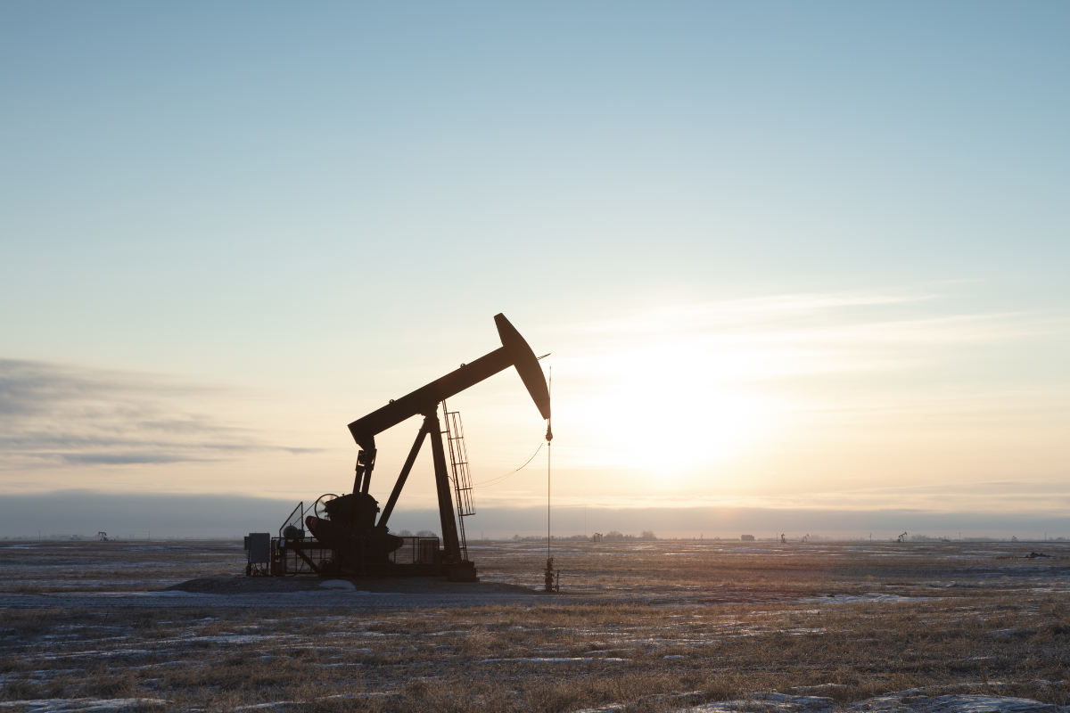 Plan 54 / Slurry Seals Multiphase Oil & Gas Pumping